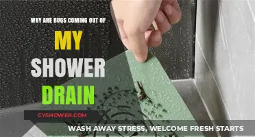 Shower Drain Bugs: Causes, Prevention, and Effective Solutions Explained