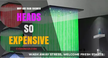 Why Rain Shower Heads Cost More: Uncovering the Premium Price Tag