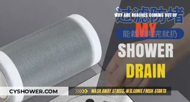 Cockroaches in Shower Drain: Causes, Prevention, and Effective Solutions