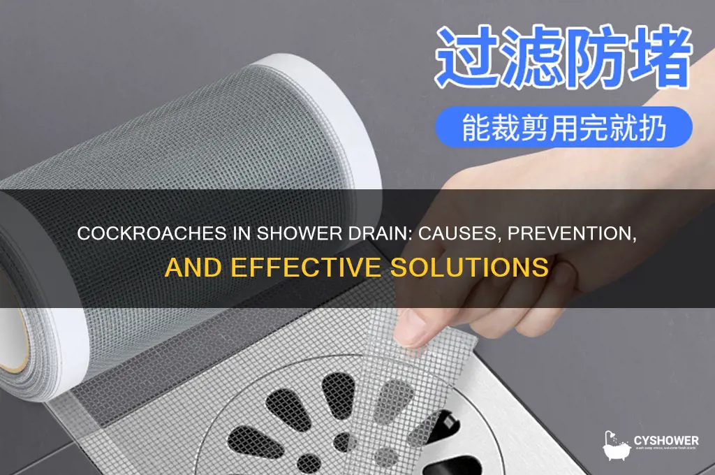 why are roaches coming out of my shower drain