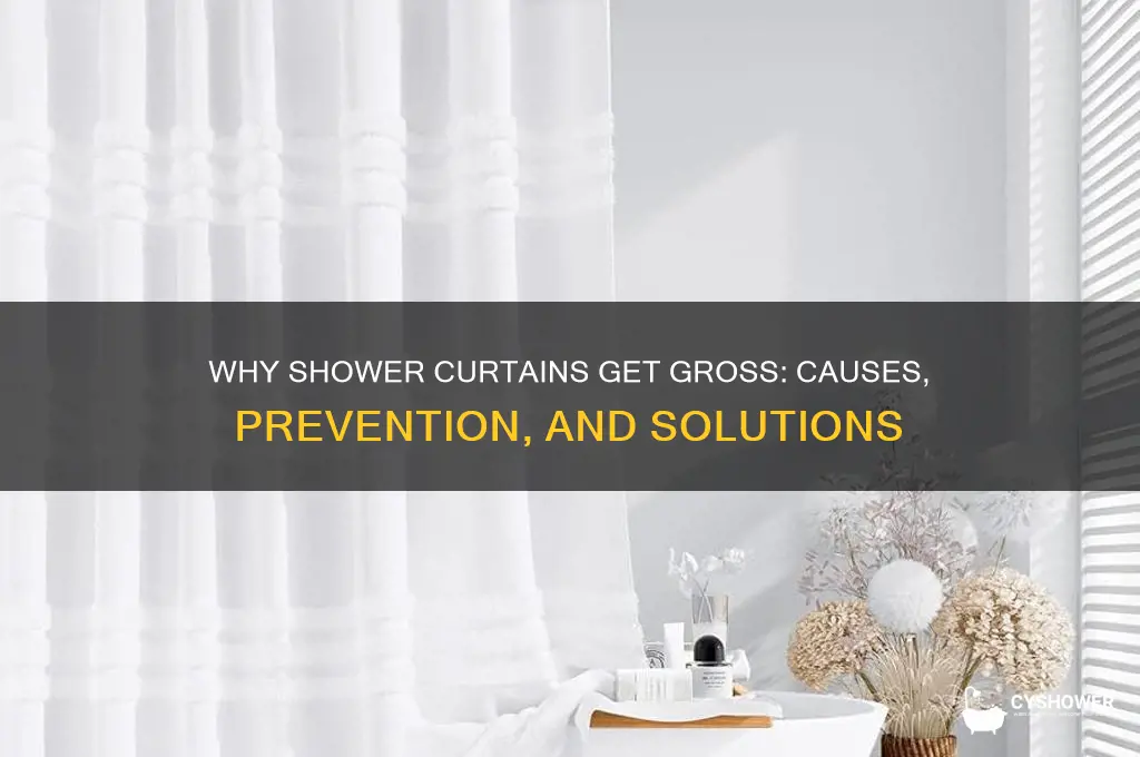 why are shower curtains icky