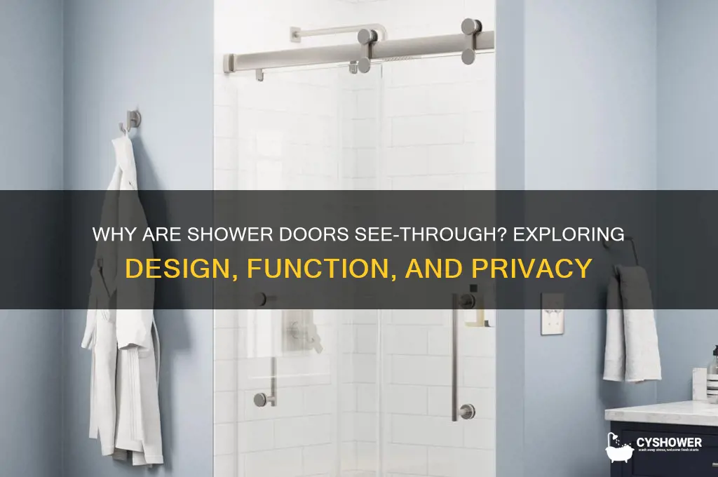 why are shower doors see through