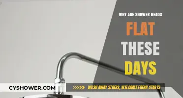Why Modern Shower Heads Are Flat: Design and Functionality Explained