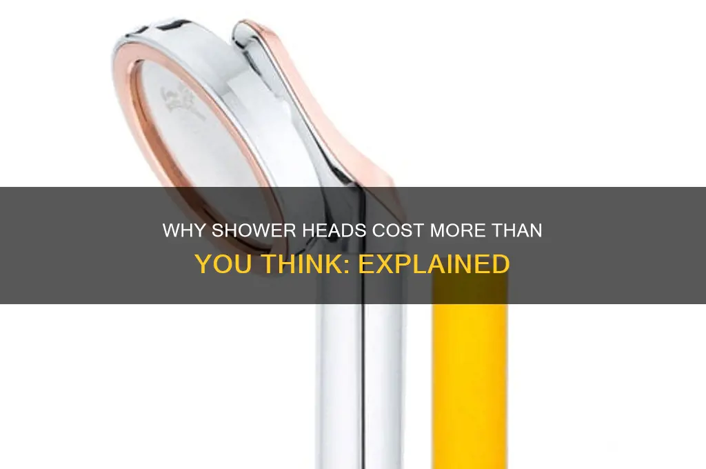 why are shower heads so expensive