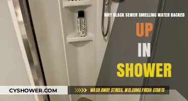 Black Sewer Smelling Water Backup in Shower: Causes and Solutions
