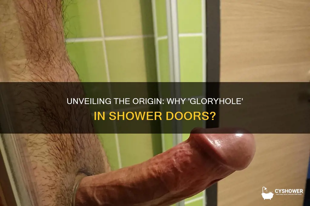 why called a gloryhole in shower door