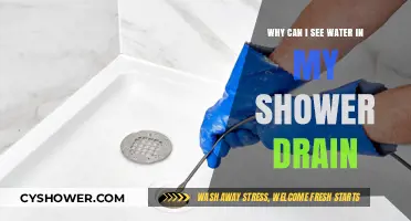 Why Water Pools in Your Shower Drain: Causes and Fixes