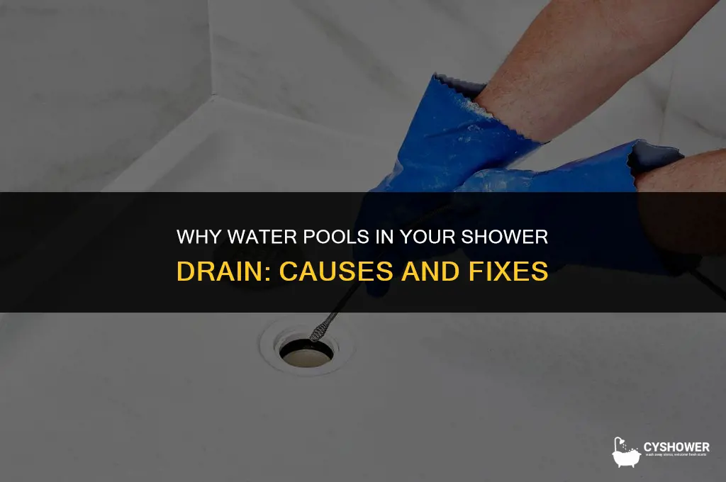 why can i see water in my shower drain