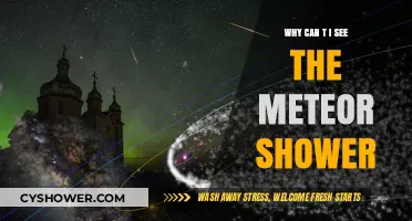 Why Can't I See the Meteor Shower? Common Obstacles Explained