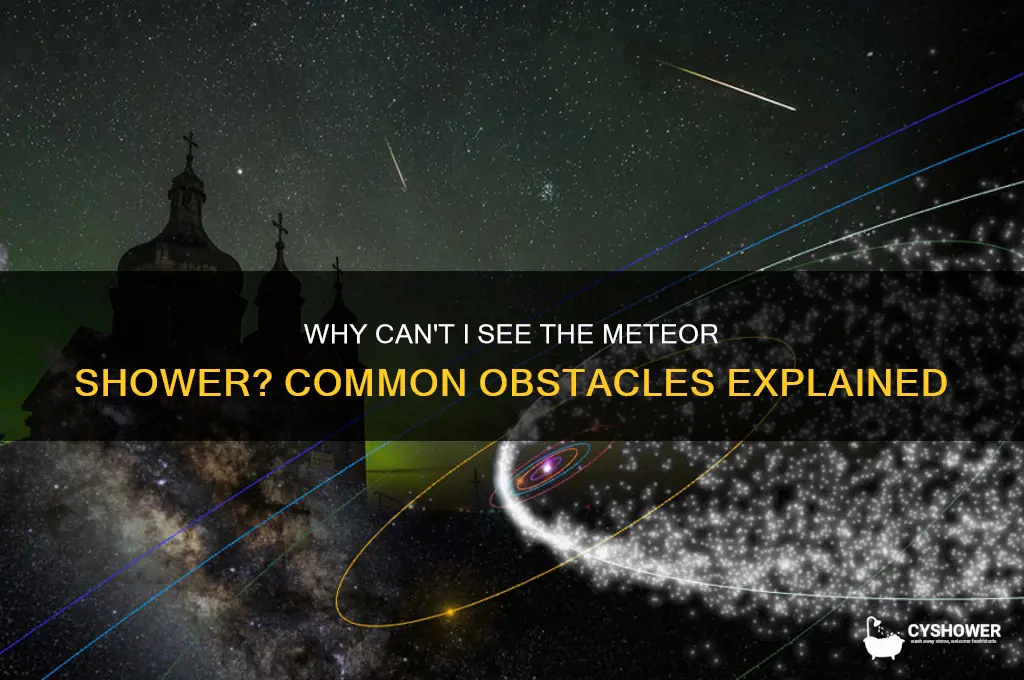 why can t i see the meteor shower