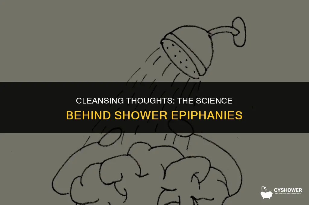 why can you think better in the shower