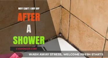 Post-Shower Dampness Dilemma: Why Can't I Dry Off?