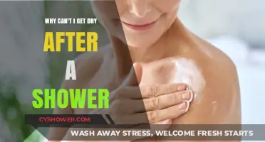 Post-Shower Dampness: Understanding Why You Can't Get Fully Dry