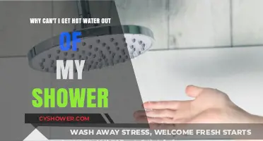 Troubleshooting Your Shower: Why No Hot Water is Coming Out