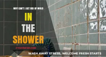 Persistent Shower Mold: Causes and Effective Solutions to Eliminate It