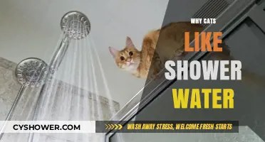 Why Cats Love Shower Water: Unraveling Their Fascinating Attraction