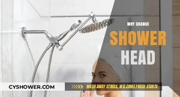 Upgrade Your Shower Experience: Why Change Your Shower Head Now
