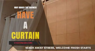 Why Do Showers Have Curtains? Exploring Their Practical Purpose