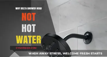Troubleshooting Delta Shower Head: Why Isn't My Water Getting Hot?