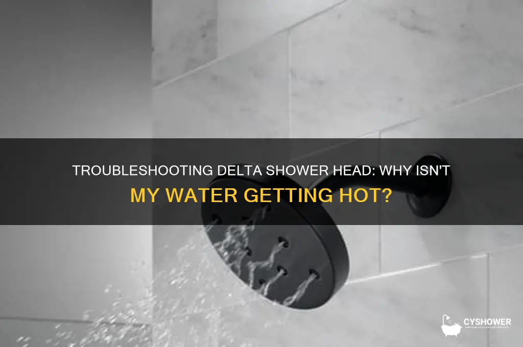 why delta shower head not hot water
