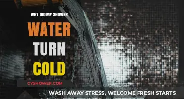 Why Did My Shower Water Suddenly Turn Cold? Causes & Fixes