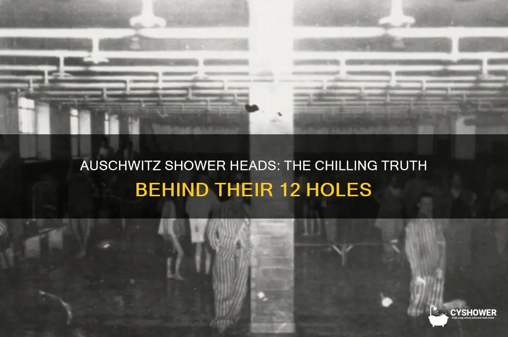 why did the auschwitz shower heads have 12 holes