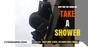 Why Did the Burglar Take a Shower? Unraveling the Odd Crime