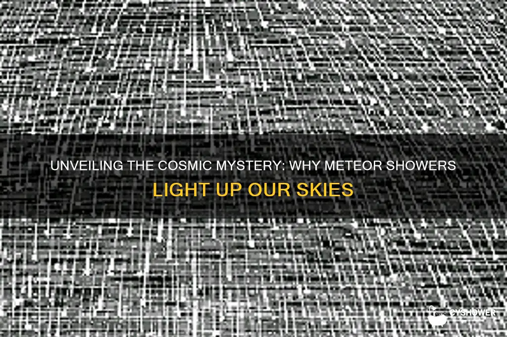 why did the meteor shower accure