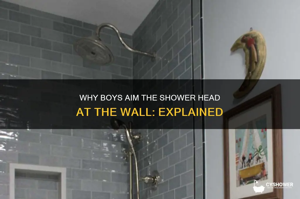 why do boys put the shower head to the wall