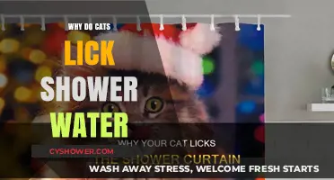 Why Cats Lick Shower Water: Uncovering the Curious Feline Habit