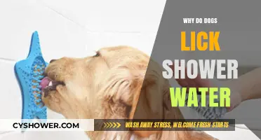 Why Dogs Lick Shower Water: Uncovering the Curious Canine Behavior