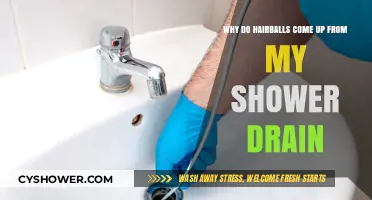 Unclogging the Mystery: Why Hairballs Appear in Your Shower Drain