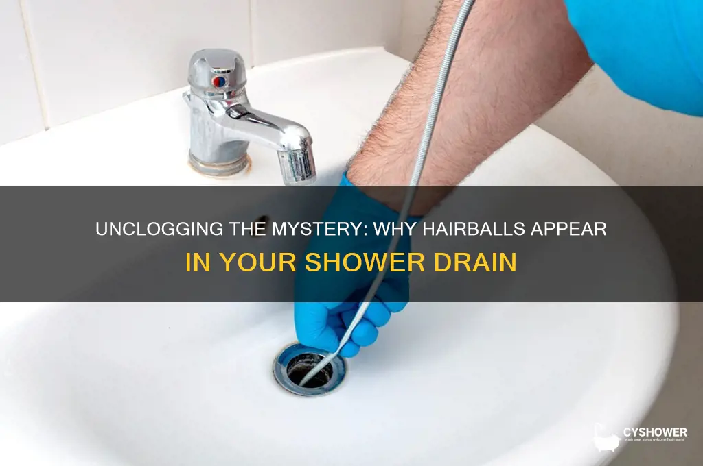 why do hairballs come up from my shower drain