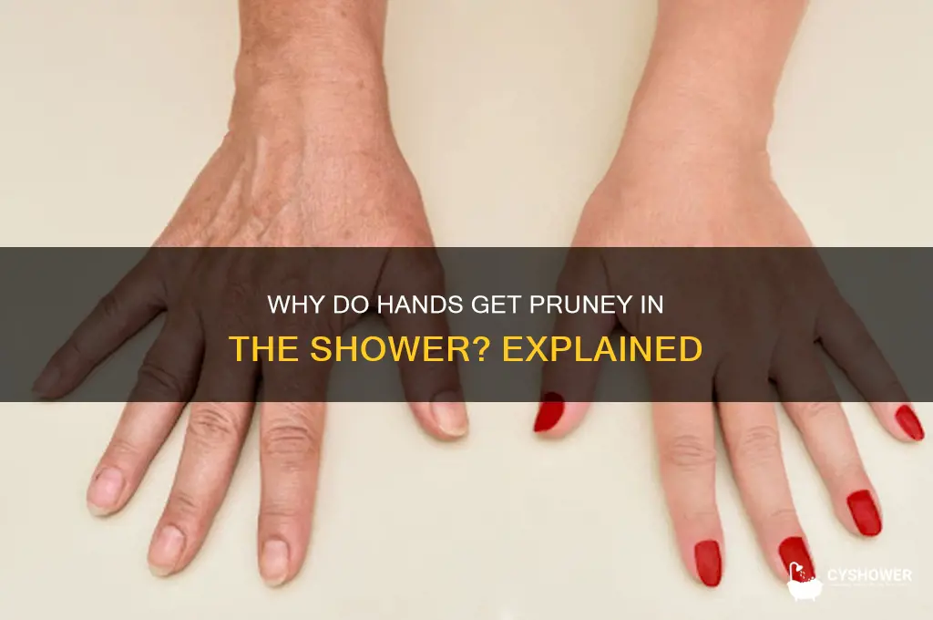 why do hands get pruney in the shower