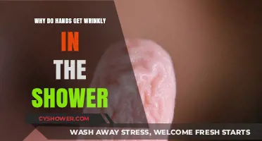 Why Do Hands Wrinkle in the Shower? Science Explained