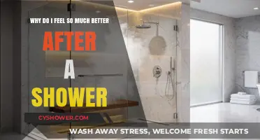 Refreshing Rituals: The Science Behind Showering and Mood Enhancement