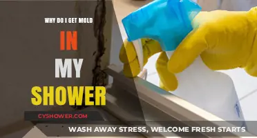 Preventing Mold in Your Shower: Causes and Effective Solutions