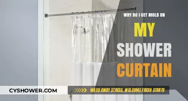 Preventing Mold: Understanding Causes and Solutions for Shower Curtain Issues