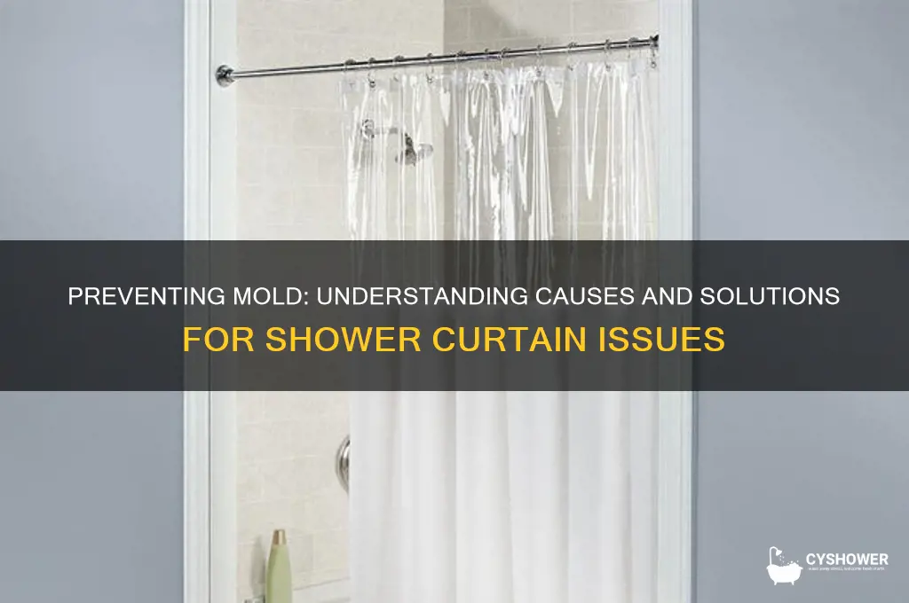 why do i get mold on my shower curtain