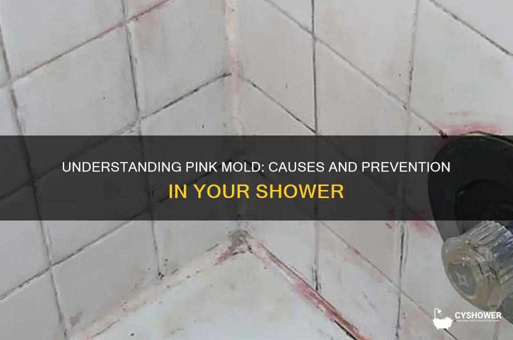 why do i get pink mold in my shower