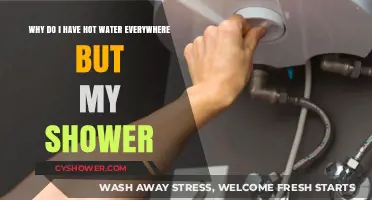 No Hot Water in Shower? Troubleshooting Tips for Your Home Plumbing
