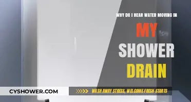 Why Does My Shower Drain Sound Like Running Water?
