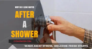 Post-Shower Water Leaks: Understanding and Fixing the Common Issue