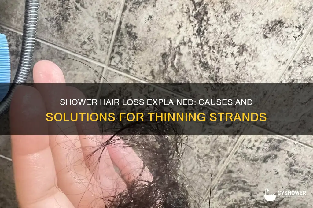 why do i lose so much hair in the shower
