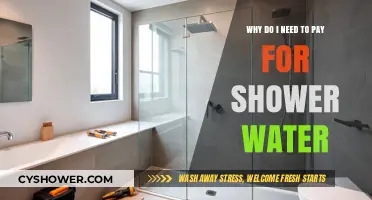 Why Pay for Shower Water? Understanding the Hidden Costs