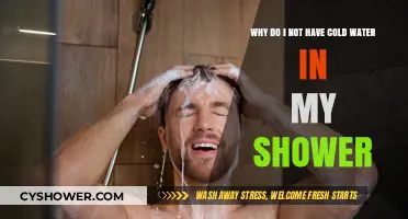 No Cold Water in Shower? Troubleshooting Common Plumbing Issues