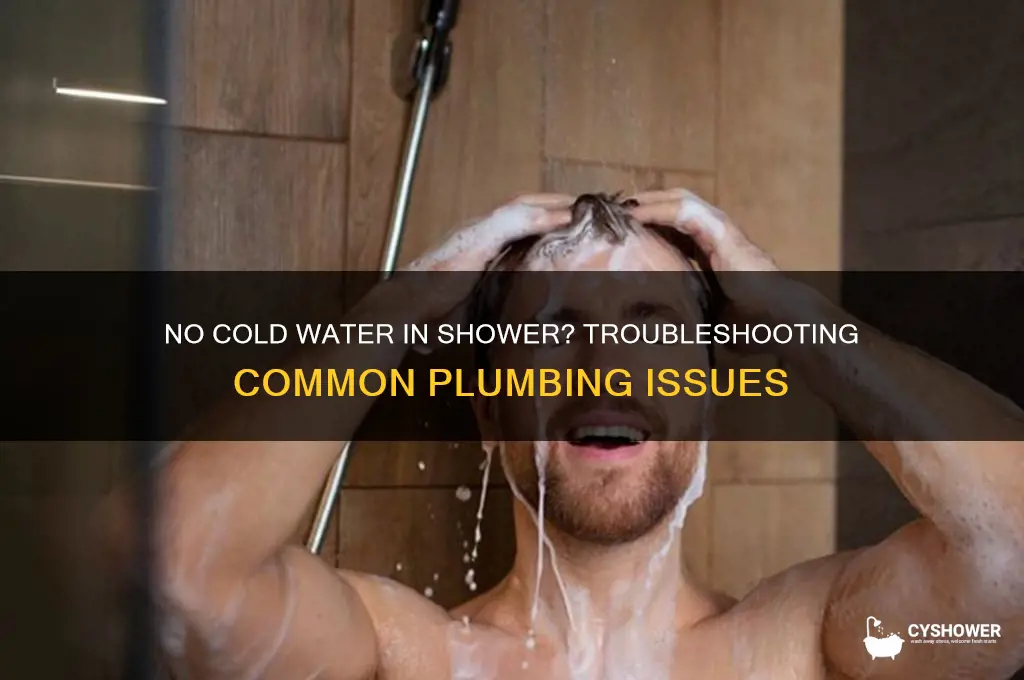 why do i not have cold water in my shower
