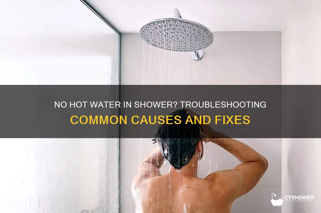 why do i not have hot water in my shower