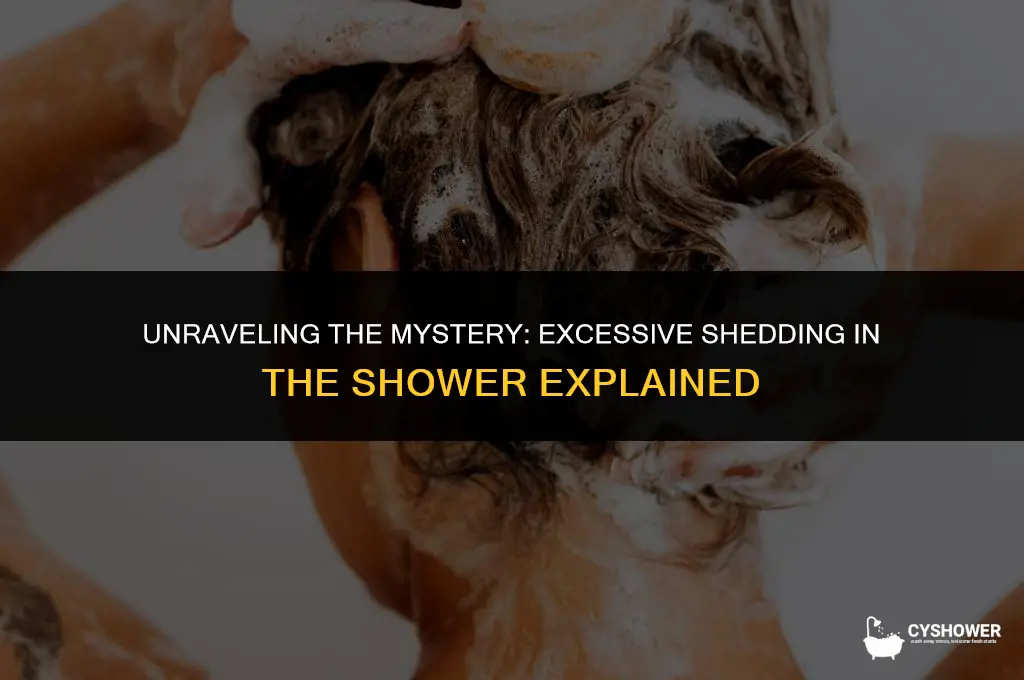 why do i shed so much in the shower