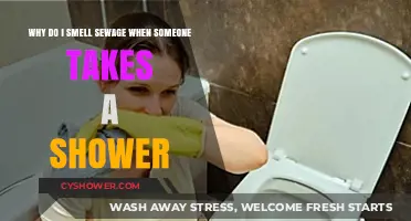 Sewage Smell During Showers: Causes and Solutions Explained
